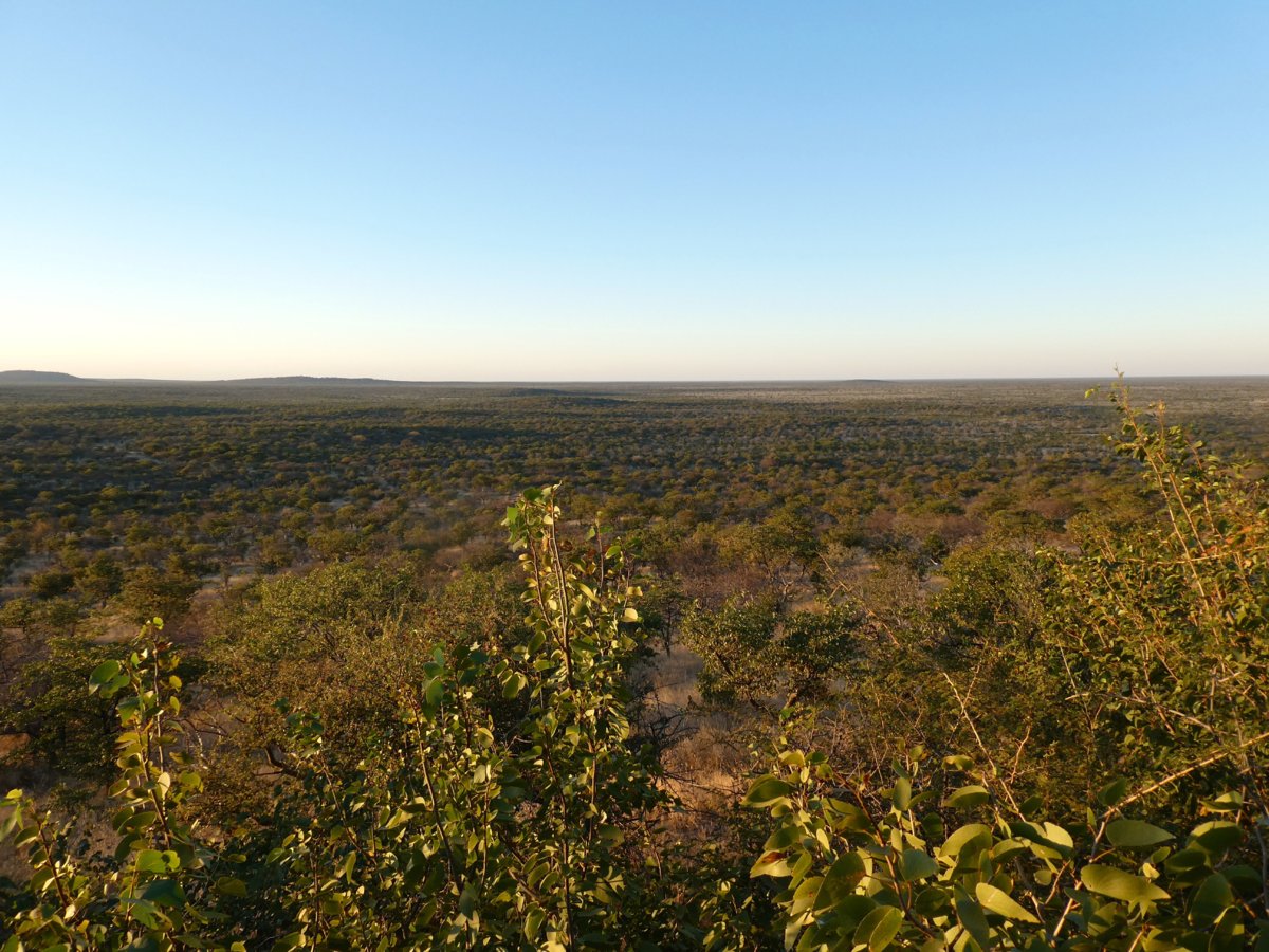 P1000445.jpg