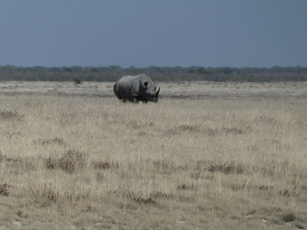P1000505.jpg
