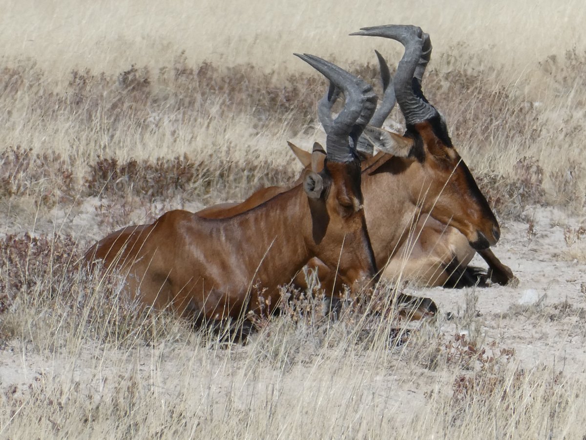 P1000543.jpg