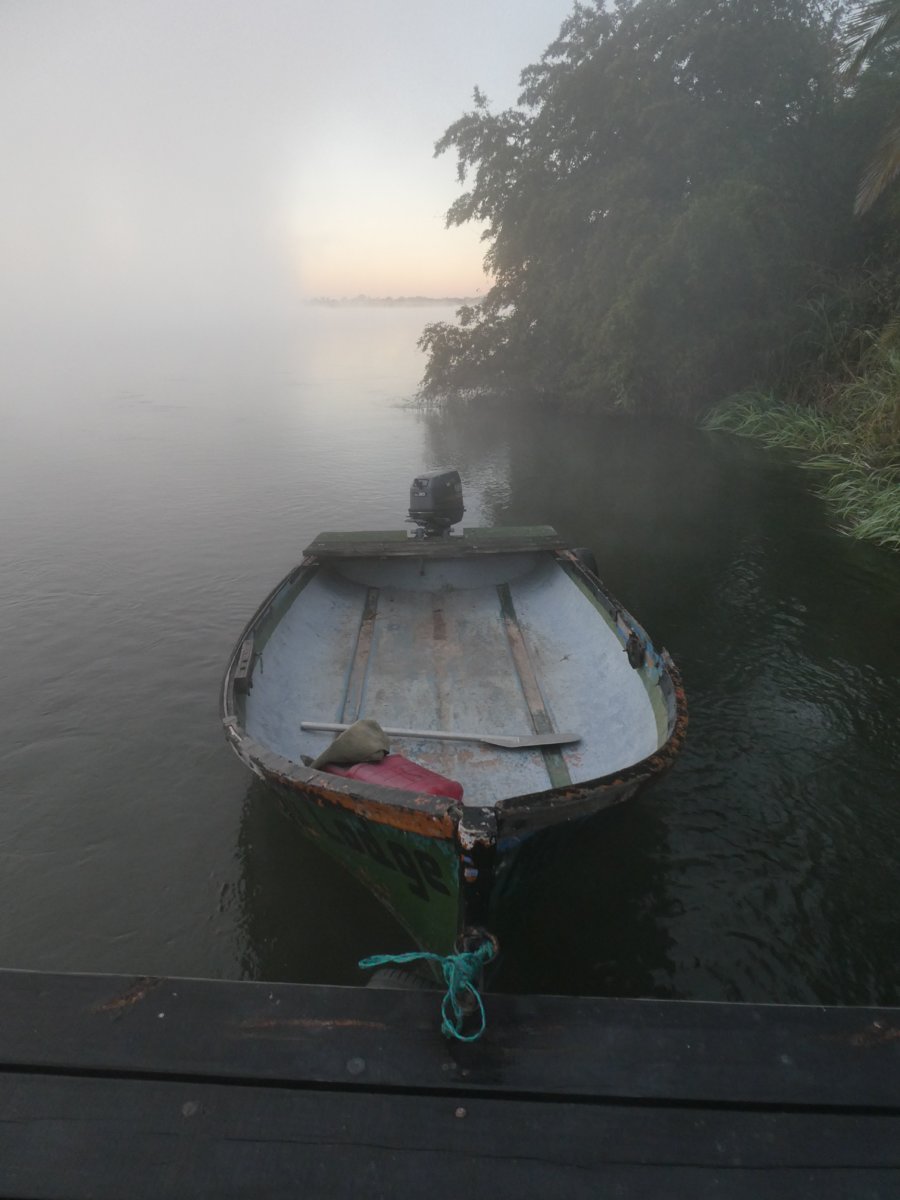 P1000853.jpg