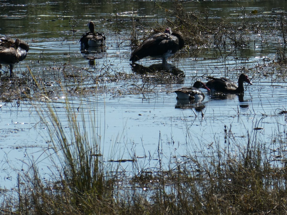 P1010056.jpg