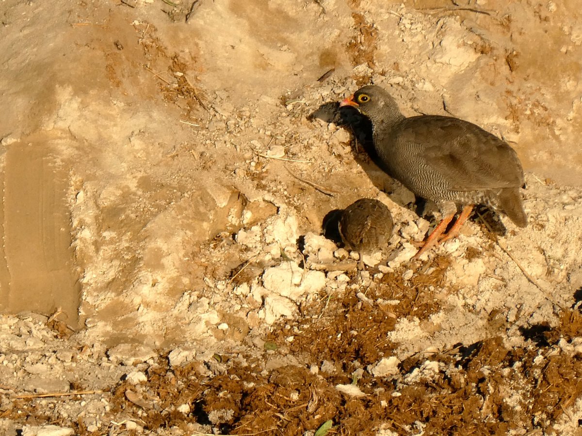 P1010186.jpg