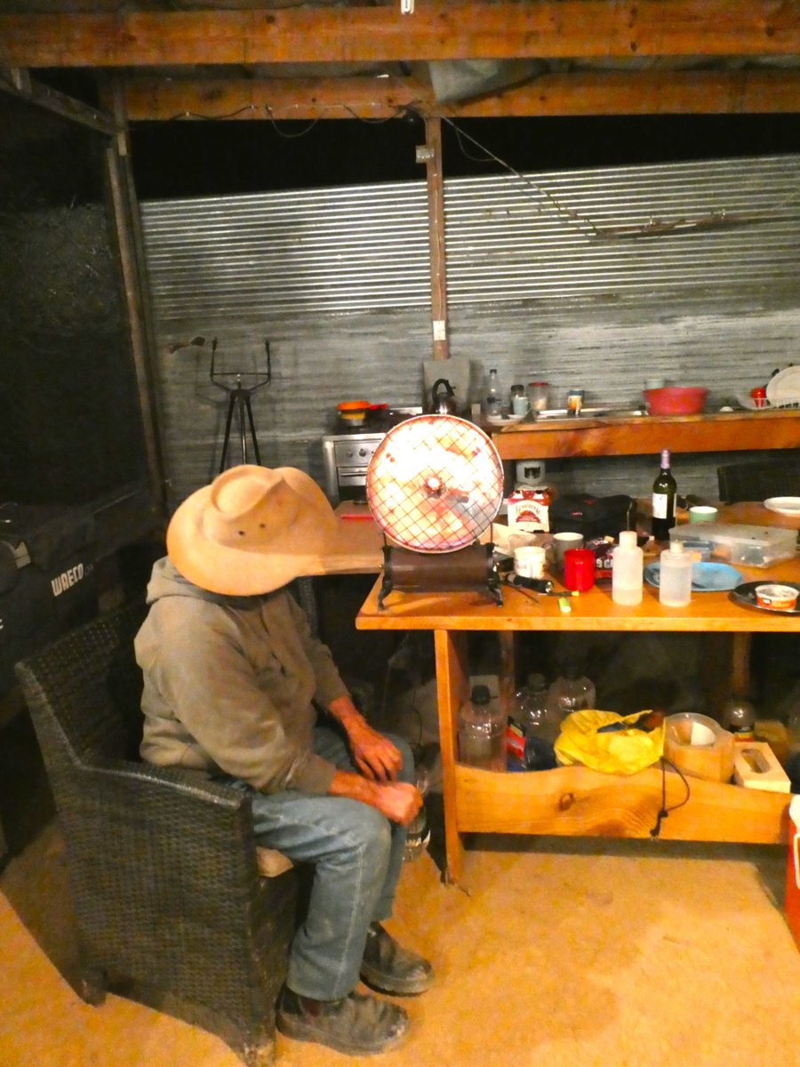 P1030685.jpg