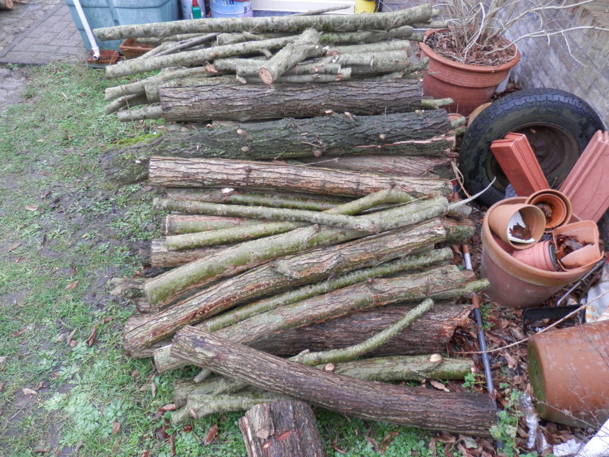 P1080001.JPG