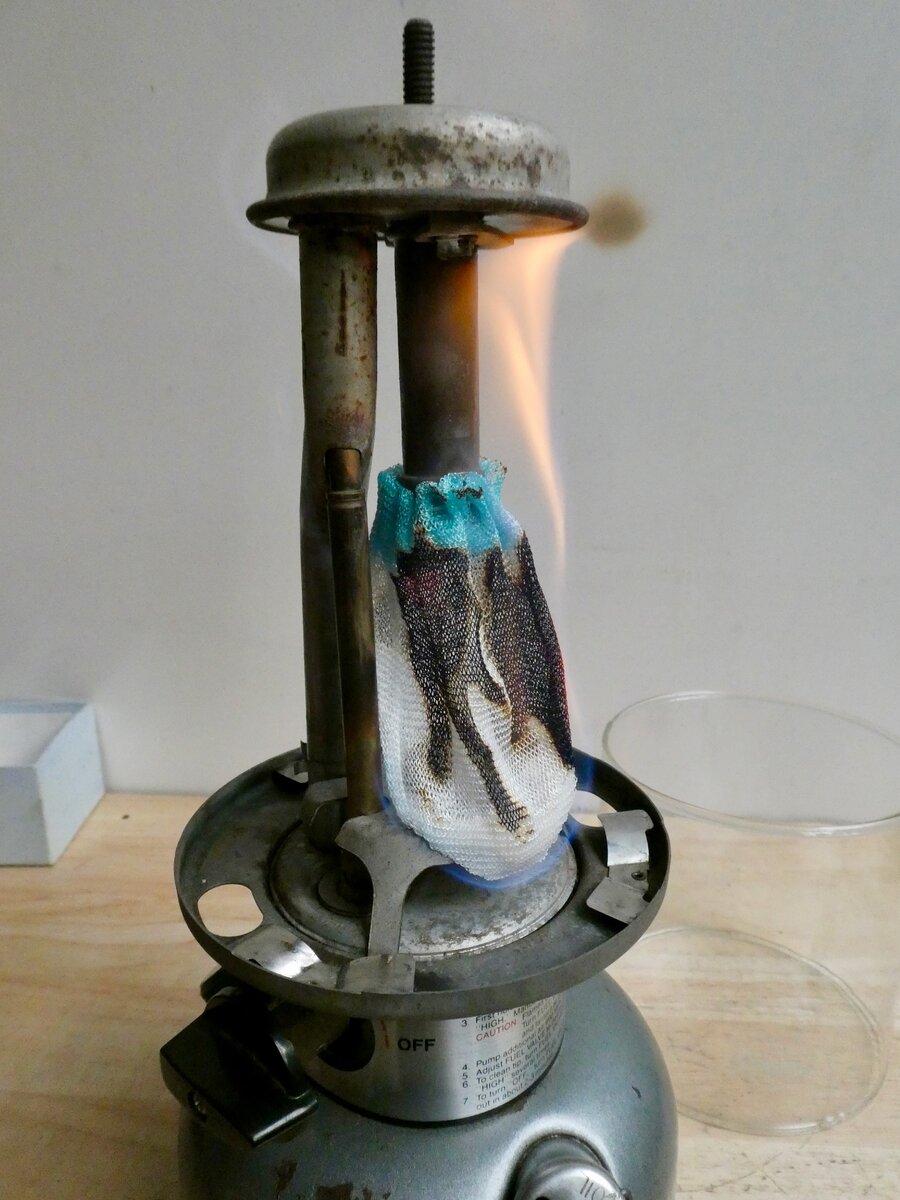 P1110134.jpeg