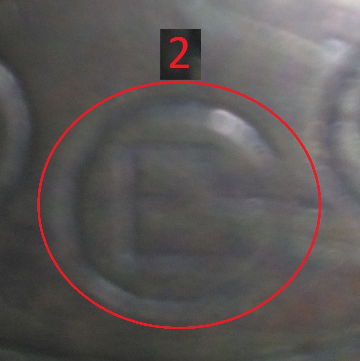 Petromax2.jpg