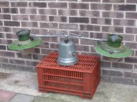 1305884157-IMG_1556a_opt.jpg