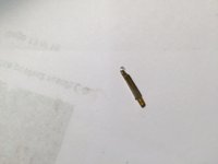 1443039893-IMG_0344.JPG