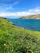 IMG_6584.jpg