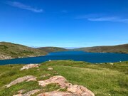 IMG_6593.jpg
