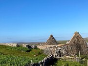 IMG_6602.jpg