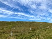 IMG_6624.jpg