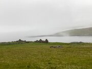 IMG_6779.jpg
