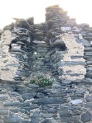 IMG_6876.jpg