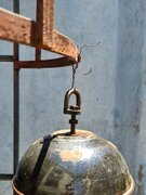 WhatsApp Image 2021-11-11 at 19.38.05 (6).jpeg