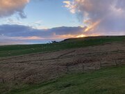 IMG_7732.jpg