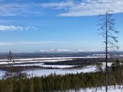IMG_8306.jpg