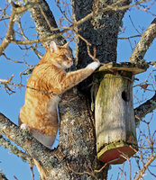 1454968293-IMG_1722_1.jpg