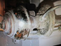 1457107608-IMG_7881_opt.jpg