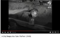 1457212394-fluffers3.JPG