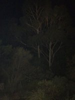 1466843888-IMG_8931.jpg