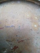 IMG_20220629_190322.jpg