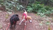 20220604_095507.jpg