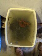 PXL_20221022_110542742.jpg