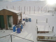 WHITE OUT 1, 6,3,2023..JPG