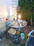 IMG_20230614_210437.jpg