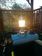 IMG_20231125_154922.jpg