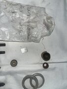 IMG_8968.jpeg