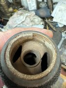 IMG_7240.jpeg