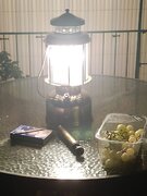 IMG_20240827_210106.jpg