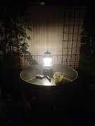 IMG_20240827_210055.jpg