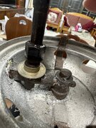 IMG_5366.jpeg