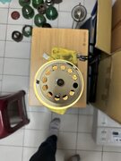 IMG_5419.jpeg