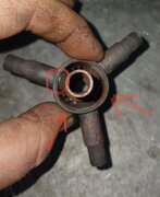IMG_3251.jpeg