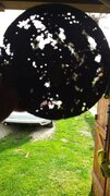 IMG-20250308-WA0006.jpeg