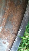 20250308_160724.jpg