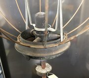 IMG_3729.jpeg