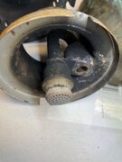 IMG_3801.jpeg
