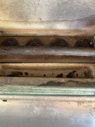 IMG_0999.jpeg