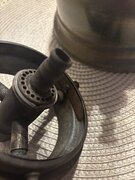 IMG_6369.jpeg