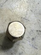 IMG_3004.jpeg