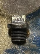 IMG_0866.jpeg