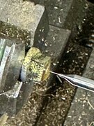IMG_0869.jpeg