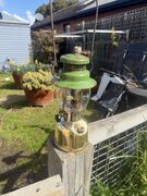 IMG_7687.jpeg