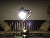 1304914438-4picture061.jpg
