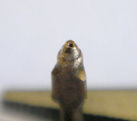 1338403514-Needle003.jpg